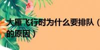 大雁飛行時為什么要排隊(大雁飛行時要排隊的原因)
