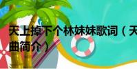 天上掉下個林妹妹歌詞(天上掉下個林妹妹歌曲簡介)