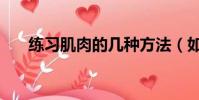 練習肌肉的幾種方法(如何鍛煉肌肉)