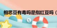 相思豆有毒嗎是指紅豆嗎(相思豆有毒嗎)
