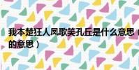 我本楚狂人鳳歌笑孔丘是什么意思(我本楚狂人鳳歌笑孔丘的意思)