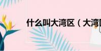 什么叫大灣區(大灣區的定義)