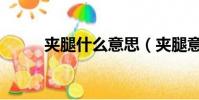 夾腿什么意思(夾腿意思是什么)