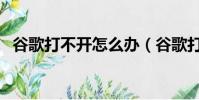 谷歌打不開怎么辦(谷歌打不開了為什么)