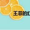 王菲的紅豆歌詞（紅豆全部歌詞）