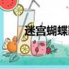 迷宮蝴蝶歌詞（迷宮蝴蝶歌曲介紹）