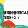 玻璃種翡翠和冰種翡翠的區別（玻璃種翡翠和冰種翡翠的區別是什么）