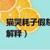 貓哭耗子假慈悲是什么意思（貓哭耗子假慈悲解釋）