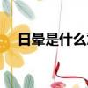 日暈是什么意思（出現日暈預示著什么）