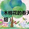 木棉花的春天劇情簡介（木棉花的春天劇情介紹）