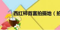 西紅柿首富拍攝地(拍攝地介紹)