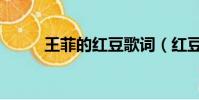王菲的紅豆歌詞(紅豆全部歌詞)