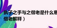執子之手與之偕老是什么意思(執子之手與之偕老解釋)