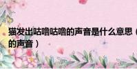 貓發出咕嚕咕嚕的聲音是什么意思(為什么貓發出咕嚕咕嚕的聲音)