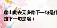 蓬山此去無多路下一句是什么(蓬山此去無多路下一句是啥)