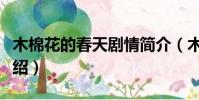 木棉花的春天劇情簡介(木棉花的春天劇情介紹)
