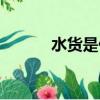 水貨是什么意思（水貨的含義）