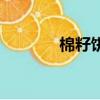棉籽餅是什么（棉籽餅介紹）