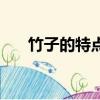 竹子的特點是什么（竹子有什么特點）
