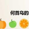 何首烏的吃法教程（怎么吃何首烏）