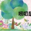 嘮叨是什么意思（嘮叨解釋）