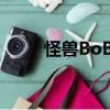 怪獸BoBo（關于怪獸BoBo介紹）