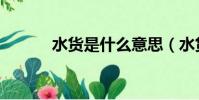 水貨是什么意思(水貨的含義)