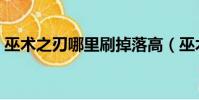 巫術之刃哪里刷掉落高(巫術之刃在哪掉落)