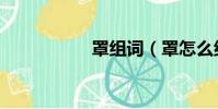 罩組詞(罩怎么組詞)