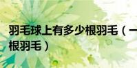 羽毛球上有多少根羽毛(一個羽毛球標準多少根羽毛)