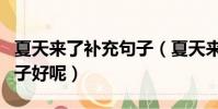夏天來了補充句子(夏天來了后面補充什么句子好呢)