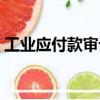 工業應付款審計（關于工業應付款審計簡介）
