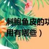 刺鮑魚皮的功效與作用（刺鮑魚皮的功效與作用有哪些）
