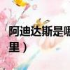 阿迪達斯是哪個國家的品牌（阿迪達斯產自哪里）