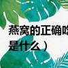 燕窩的正確吃法及十大禁忌（燕窩的最佳吃法是什么）