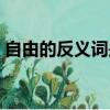 自由的反義詞是什么（自由的概念是怎樣的）