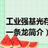 工業強基光存儲一條龍（關于工業強基光存儲一條龍簡介）