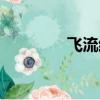 飛流結局（飛流結局介紹）