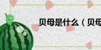 貝母是什么(貝母簡介)