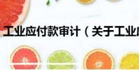工業應付款審計(關于工業應付款審計簡介)