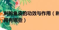 刺鮑魚皮的功效與作用(刺鮑魚皮的功效與作用有哪些)