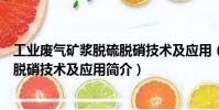 工業廢氣礦漿脫硫脫硝技術及應用(關于工業廢氣礦漿脫硫脫硝技術及應用簡介)