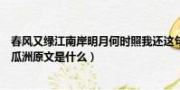 春風又綠江南岸明月何時照我還這句詩的意思是什么(泊船瓜洲原文是什么)