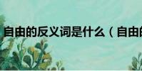 自由的反義詞是什么(自由的概念是怎樣的)