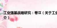 工業強基戰略研究:卷Ⅱ(關于工業強基戰略研究:卷Ⅱ簡介)