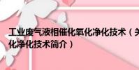 工業廢氣液相催化氧化凈化技術(關于工業廢氣液相催化氧化凈化技術簡介)