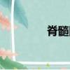 脊髓圓錐位于（脊髓圓錐）
