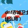 dnf赤誠衛士之誓套裝有什么用（dnf硬直有什么用）