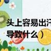 頭上容易出汗是什么原因導致的（出汗過多會導致什么）