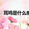 耳鳴是什么感覺會好嗎（耳鳴是什么感覺）